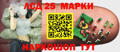 стафф Магнитогорск