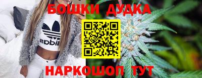 ешки Будённовск